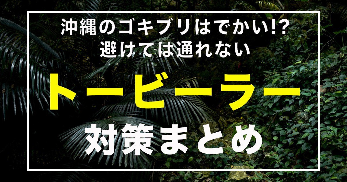 沖縄のゴキブリはでかい!?避けては通れないトービーラー対策まとめ