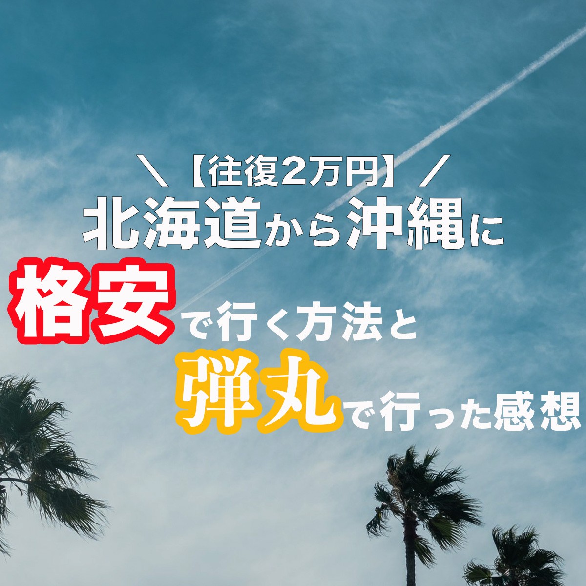 【往復2万円】北海道から沖縄に格安で行く方法と弾丸で行った感想