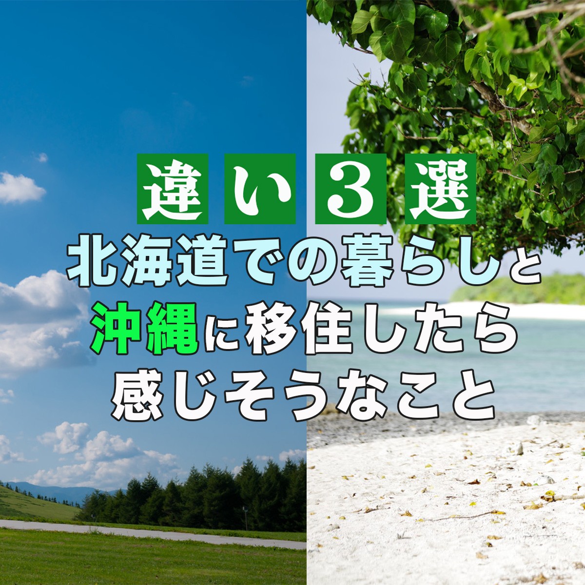 【違い3選】北海道での暮らしと沖縄に移住したら感じそうなこと