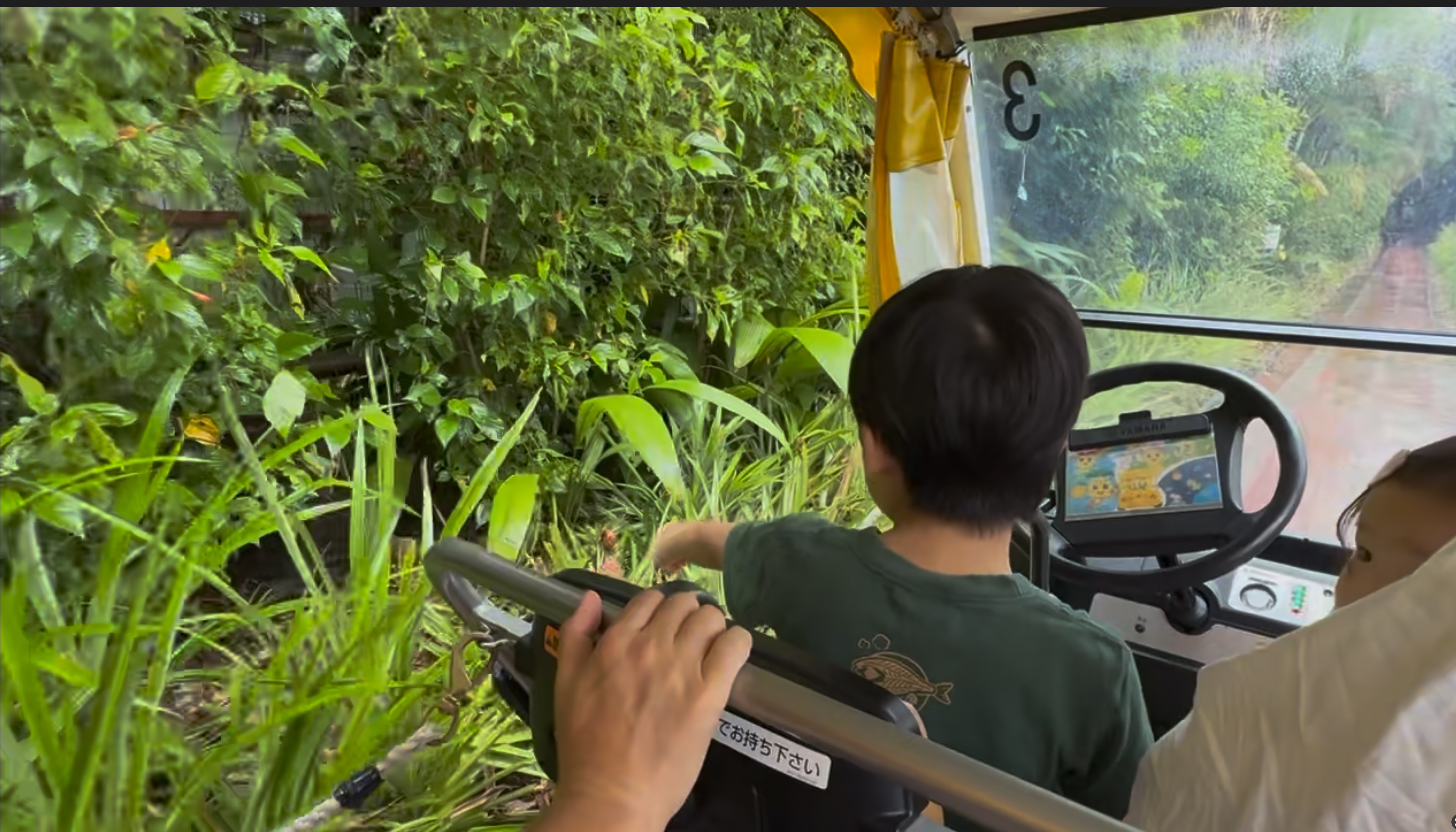 カートで走行中の風景