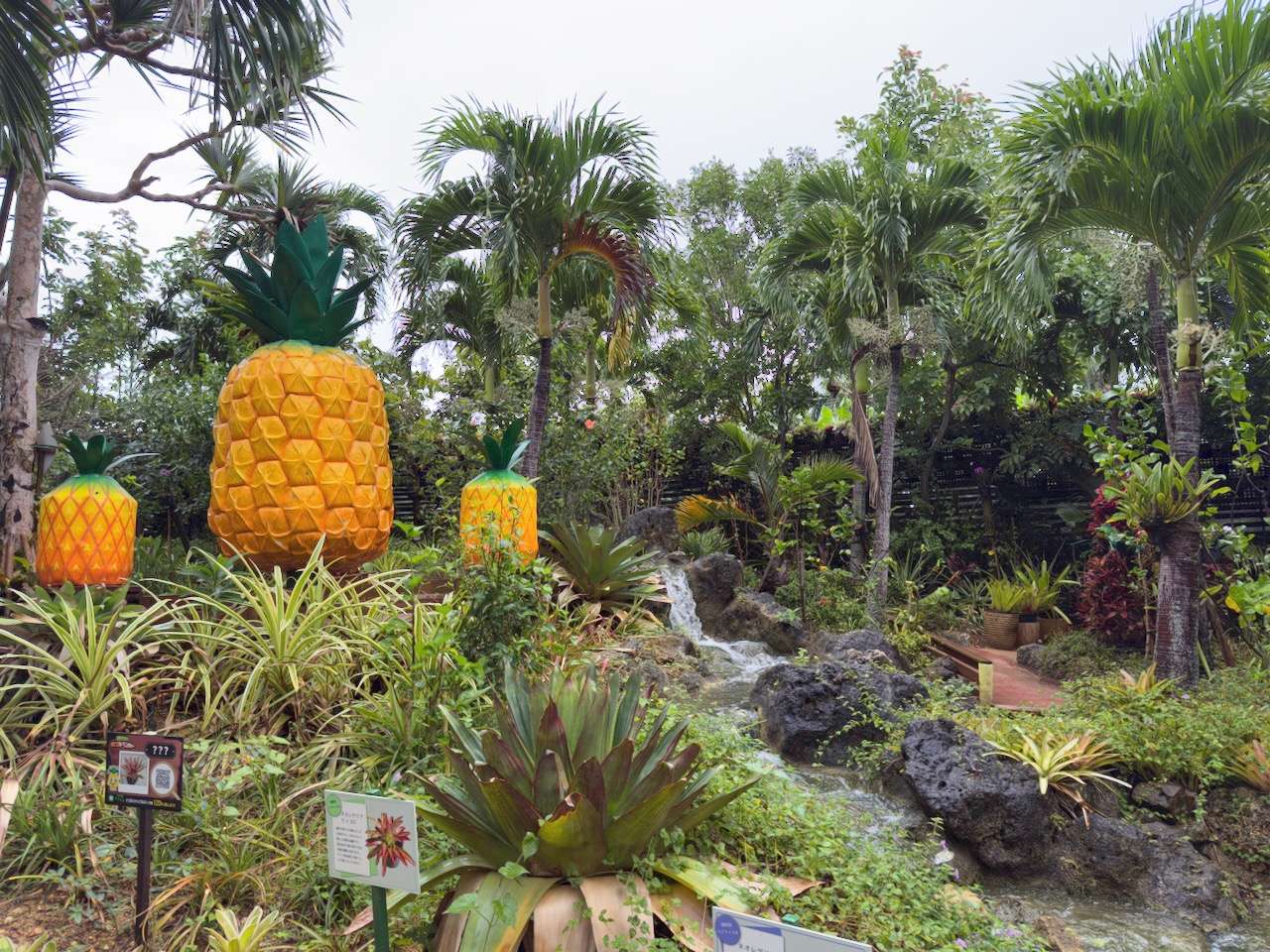 植物展示エリアの通路（屋根がない部分）
